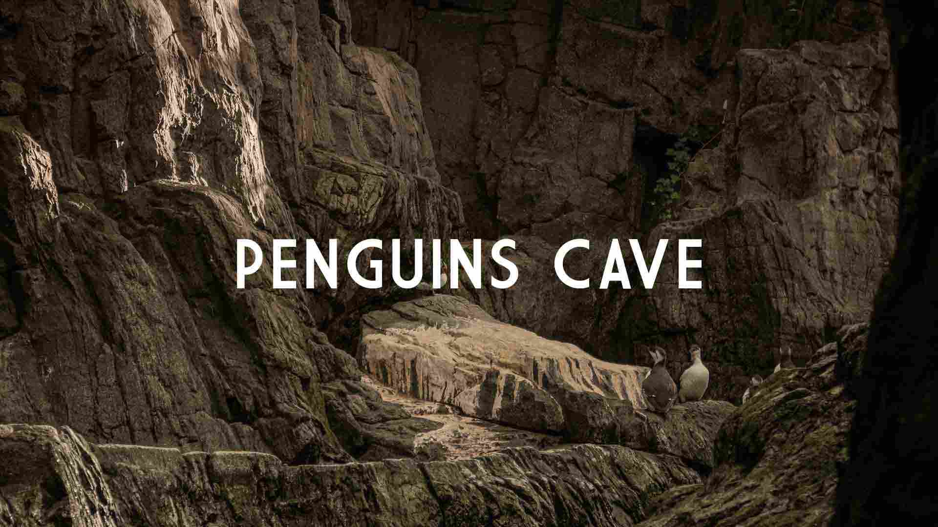 PenguinsCave